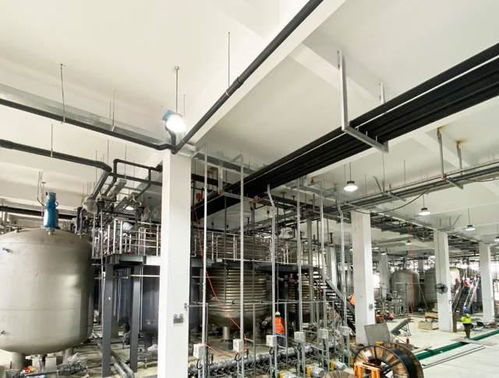 科學家發現衰老逆轉關鍵分子，富人圈爭相追捧，市場規?；蜻_300億